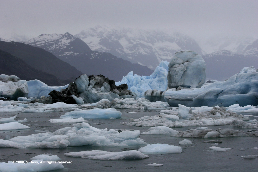Icebergs aground on the Columbia Glacier terminal moraine